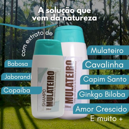 SHAMPOO MULATEIRO - ANTIQUEDA