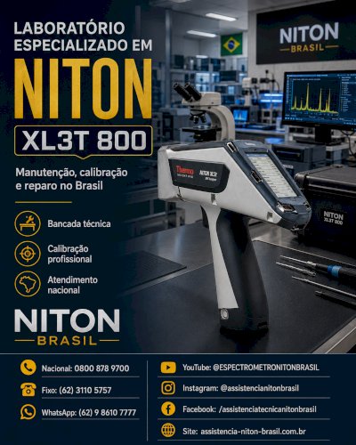 THERMO FISHER NITON BRASIL