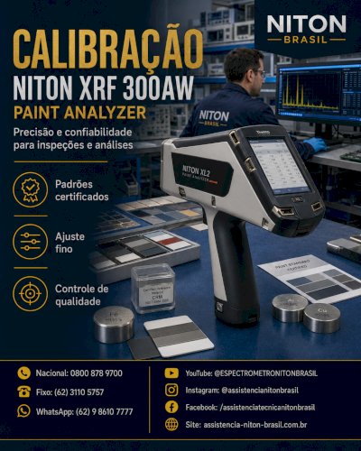 THERMO FISHER NITON BRASIL